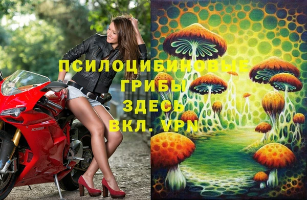 экстази Нязепетровск