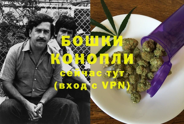 альфа пвп Новодвинск