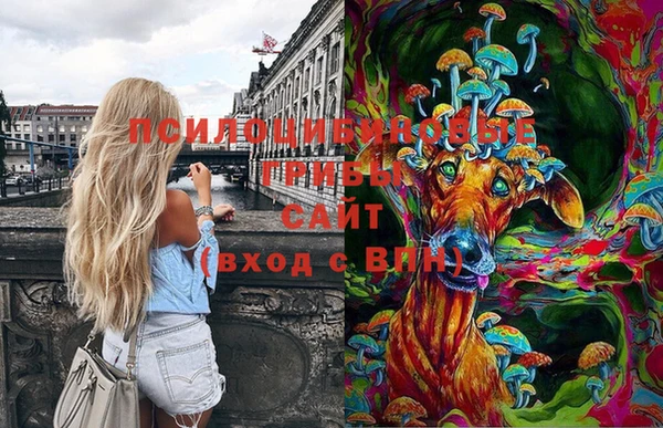 мдма Няндома
