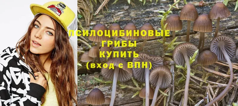 МЕГА маркетплейс  Инсар  Псилоцибиновые грибы Magic Shrooms 